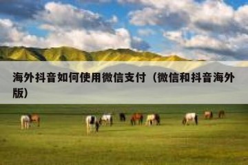 海外抖音如何使用微信支付（微信和抖音海外版）