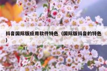 抖音国际版应用软件特色（国际版抖音的特色）