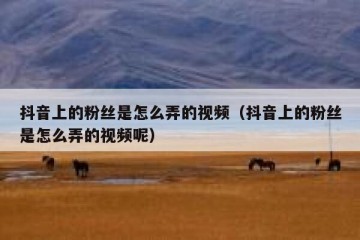 抖音上的粉丝是怎么弄的视频（抖音上的粉丝是怎么弄的视频呢）