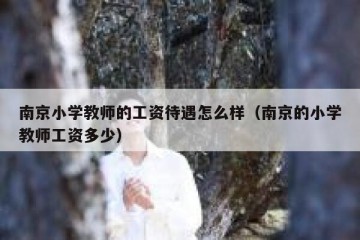 南京小学教师的工资待遇怎么样（南京的小学教师工资多少）