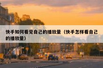 快手如何看见自己的播放量（快手怎样看自己的播放量）