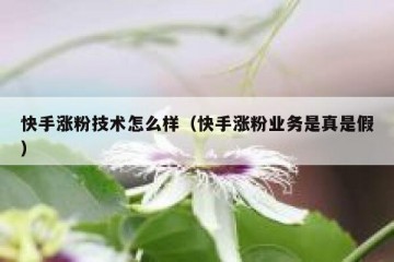 快手涨粉技术怎么样（快手涨粉业务是真是假）