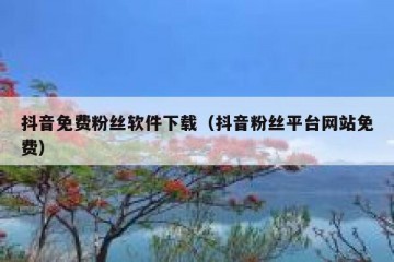 抖音免费粉丝软件下载（抖音粉丝平台网站免费）