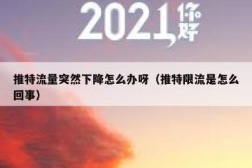 推特流量突然下降怎么办呀（推特限流是怎么回事）