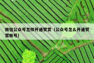 微信公众号怎样开通赞赏（公众号怎么开通赞赏帐号）