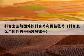 抖音怎么加国外的抖音号和微信账号（抖音怎么用国外的号码注册账号）