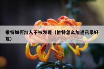 推特如何加人不被发现（推特怎么加通讯录好友）