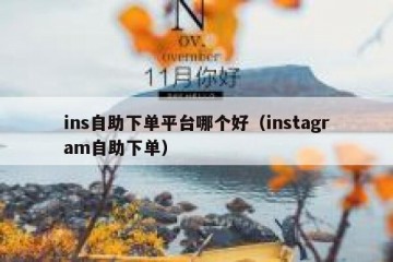ins自助下单平台哪个好（instagram自助下单）