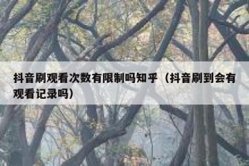 抖音刷观看次数有限制吗知乎（抖音刷到会有观看记录吗）