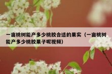 一亩桃树能产多少桃胶合适的果实（一亩桃树能产多少桃胶果子呢视频）