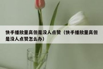 快手播放量高但是没人点赞（快手播放量高但是没人点赞怎么办）