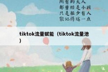 tiktok流量赋能（tiktok流量池）