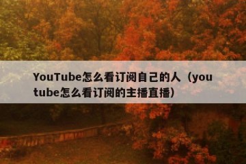 YouTube怎么看订阅自己的人（youtube怎么看订阅的主播直播）