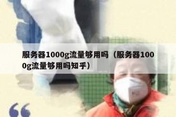 服务器1000g流量够用吗（服务器1000g流量够用吗知乎）
