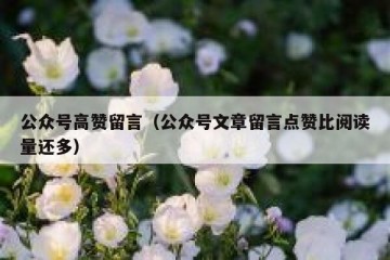 公众号高赞留言（公众号文章留言点赞比阅读量还多）