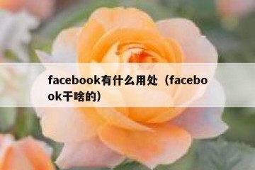 facebook有什么用处（facebook干啥的）