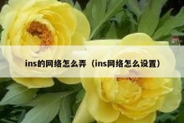 ins的网络怎么弄（ins网络怎么设置）