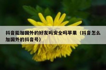 抖音能加国外的好友吗安全吗苹果（抖音怎么加国外的抖音号）