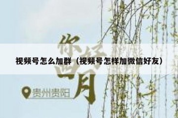视频号怎么加群（视频号怎样加微信好友）