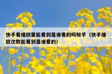 快手看播放量能看到是谁看的吗知乎（快手播放次数能看到是谁看的）