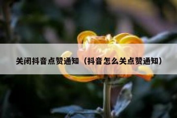 关闭抖音点赞通知（抖音怎么关点赞通知）