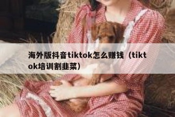 海外版抖音tiktok怎么赚钱（tiktok培训割韭菜）