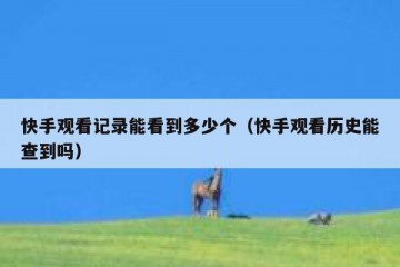 快手观看记录能看到多少个（快手观看历史能查到吗）