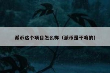 派币这个项目怎么样（派币是干嘛的）