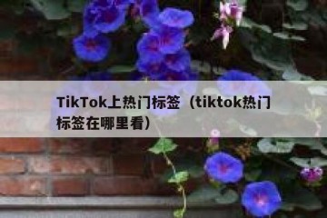 TikTok上热门标签（tiktok热门标签在哪里看）