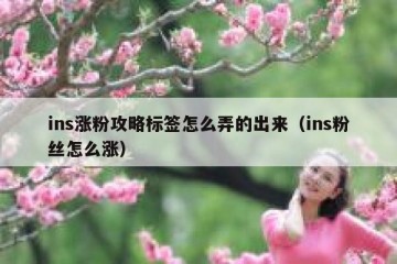ins涨粉攻略标签怎么弄的出来（ins粉丝怎么涨）