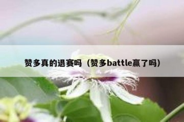 赞多真的退赛吗（赞多battle赢了吗）