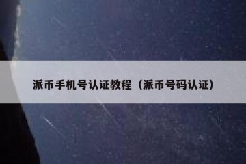 派币手机号认证教程（派币号码认证）