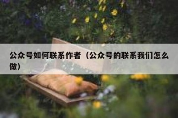公众号如何联系作者（公众号的联系我们怎么做）