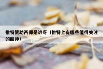 推特赞助画师是谁呀（推特上有哪些值得关注的画师）