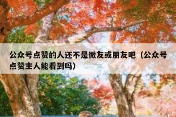 公众号点赞的人还不是微友或朋友吧（公众号点赞主人能看到吗）