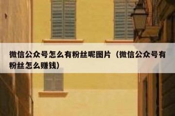 微信公众号怎么有粉丝呢图片（微信公众号有粉丝怎么赚钱）