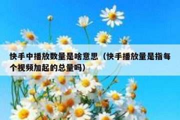快手中播放数量是啥意思（快手播放量是指每个视频加起的总量吗）