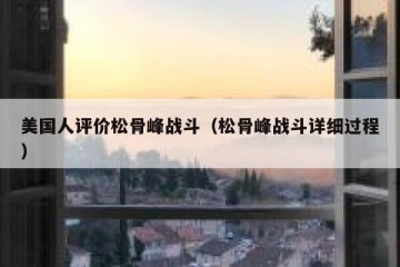 美国人评价松骨峰战斗（松骨峰战斗详细过程）