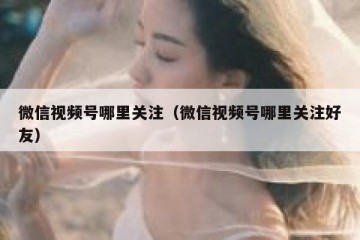 微信视频号哪里关注（微信视频号哪里关注好友）