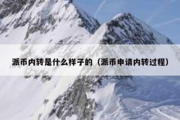 派币内转是什么样子的（派币申请内转过程）