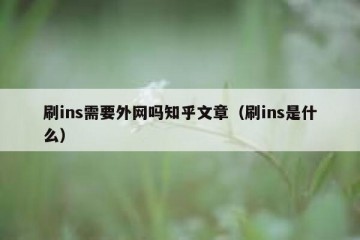 刷ins需要外网吗知乎文章（刷ins是什么）