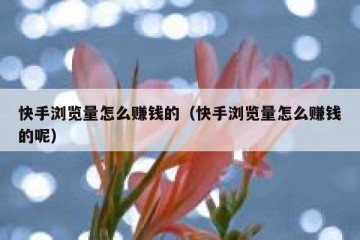 快手浏览量怎么赚钱的（快手浏览量怎么赚钱的呢）