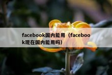facebook国内能用（facebook现在国内能用吗）