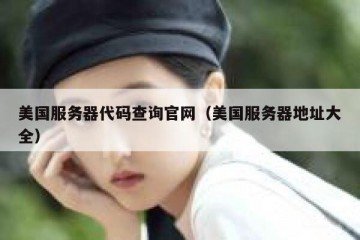 美国服务器代码查询官网（美国服务器地址大全）