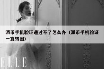 派币手机验证通过不了怎么办（派币手机验证一直转圈）