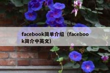facebook简单介绍（facebook简介中英文）