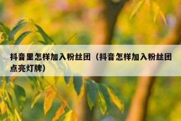 抖音里怎样加入粉丝团（抖音怎样加入粉丝团点亮灯牌）