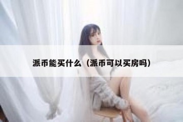 派币能买什么（派币可以买房吗）
