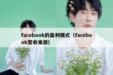 facebook的盈利模式（facebook营收来源）