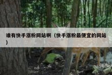 谁有快手涨粉网站啊（快手涨粉最便宜的网站）